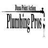 Dana Point Action Plumbing Pros