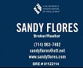 Sandy Flores